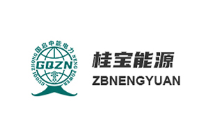 广西桂宝能源有限公司